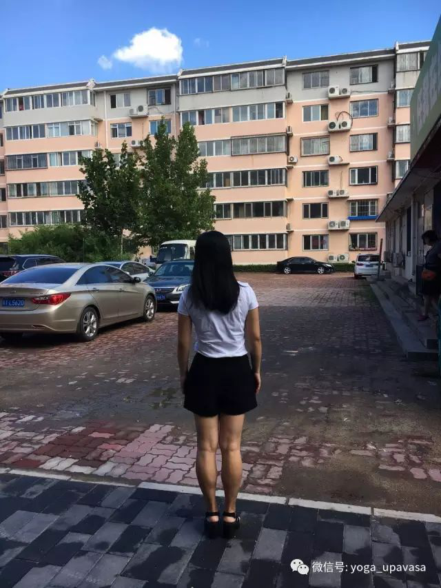 5de9cc3613219.png 3.png