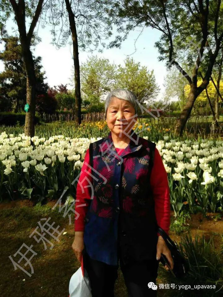 5dea047d25fa8.png 1.png