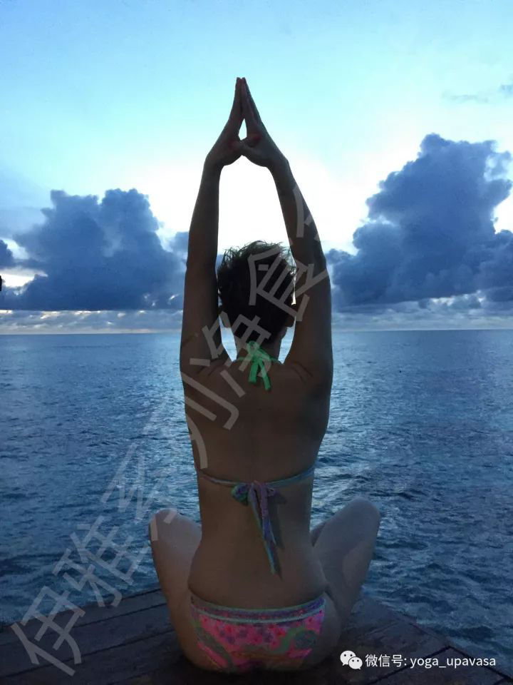 5dea05f0184c9.png 2.png