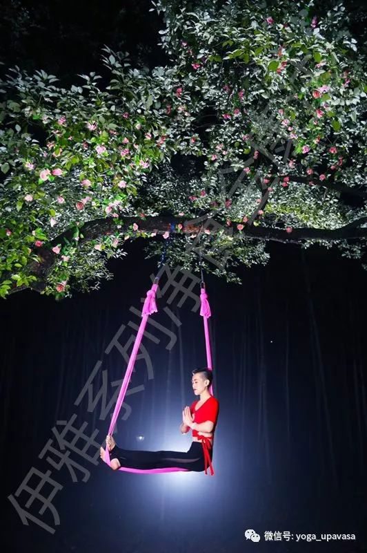 5dea061f72355.png 5.png