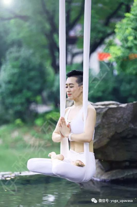 5dea066338e48.png 8.png