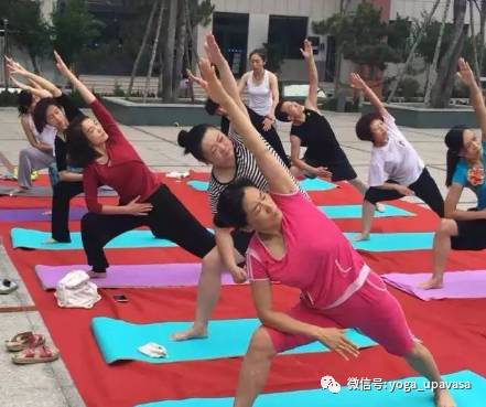 5dea072824e21.png 2.png